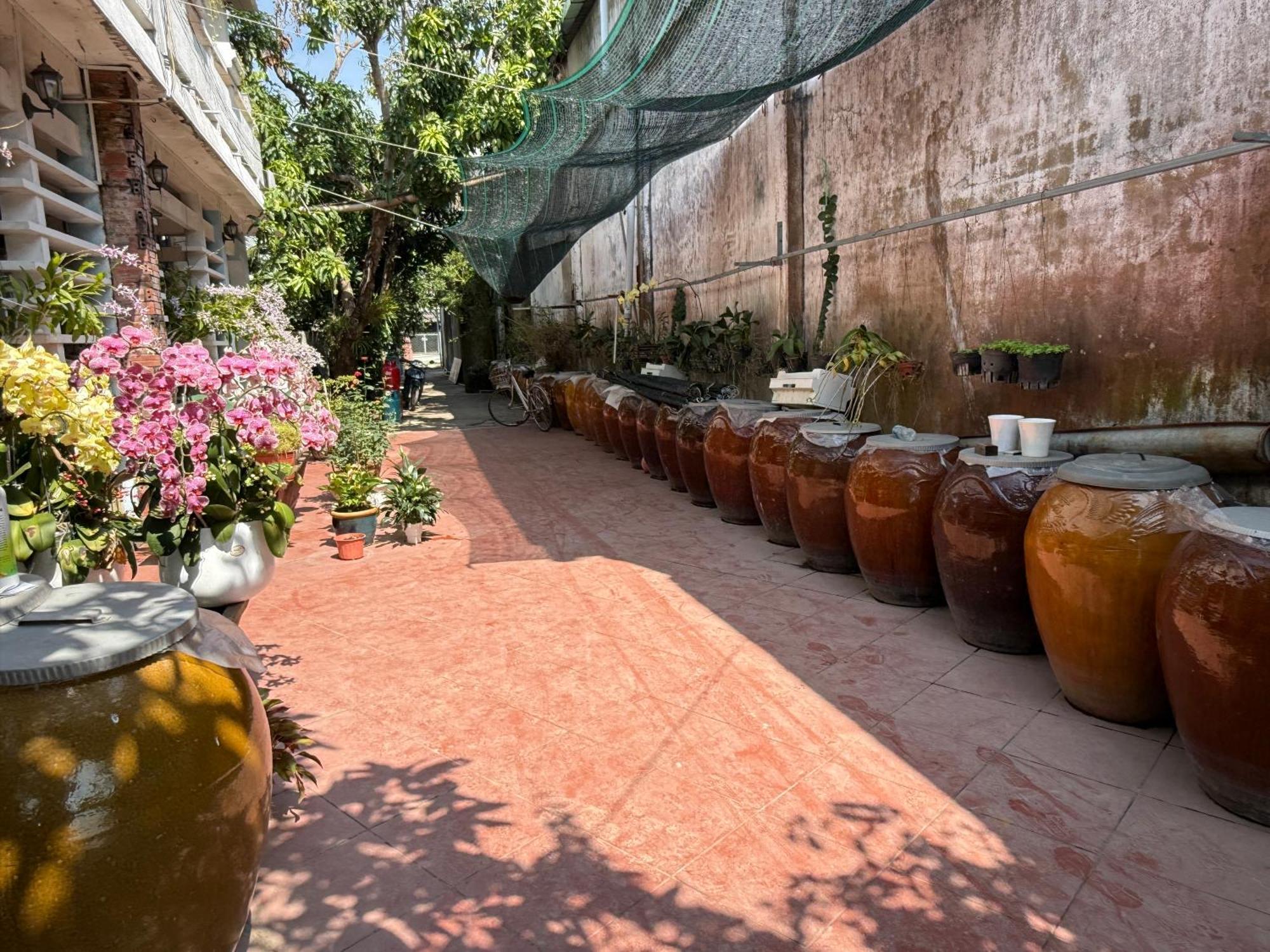 Island Homestay Tien Giang My Tho Exterior photo